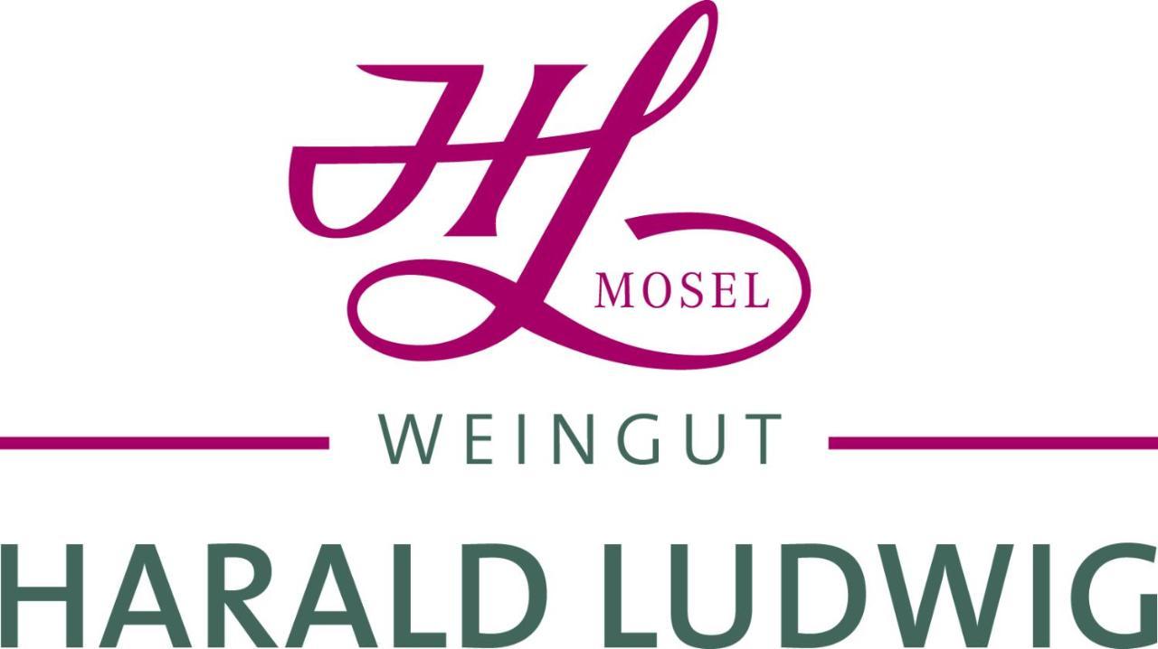 Апартаменты Weingut Harald Ludwig Osann-Monzel Экстерьер фото